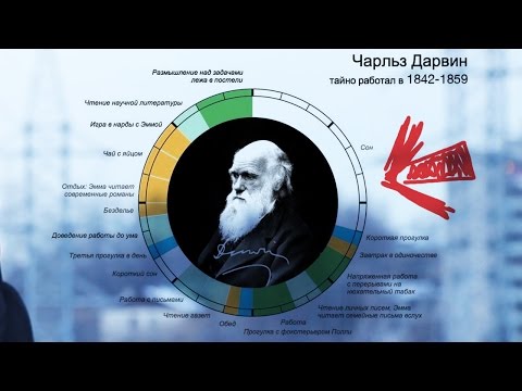 Видео: ЧТО ЕСТЬ ДИСЦИПЛИНА