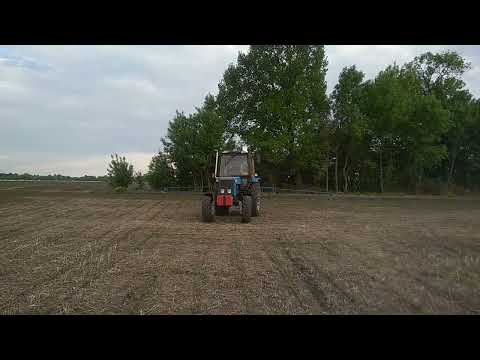 Видео: 25.05.22 Дікогерб Супер проти хвоща польового на 🌽. Хто кого?