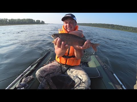 Видео: ОФИГЕТЬ!!! В этих БУРУНАХ одни КАБАНЫ! ЗАЧЕТНАЯ РЫБАЛКА С ЛОДКИ НА ХАРИУСА С КОСТЯНОМ!