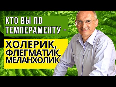 Видео: Кто вы по темпераменту  - сангвиник, холерик, флегматик или меланхолик? Торсунов лекции