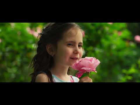 Видео: ЛЕКСИКОНЧЕ- ДВГ "Палави ноти"