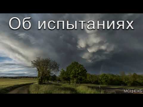 Видео: "Об испытаниях". Г. С. Ефремов. МСЦ ЕХБ.