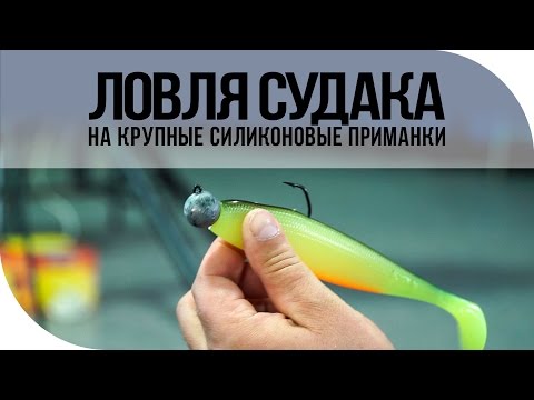 Видео: Ловля судака на крупные силиконовые приманки. Семинар. Андрей Чуланов, Андрей Старков.