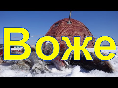 Видео: На Воже За судаком ч.1