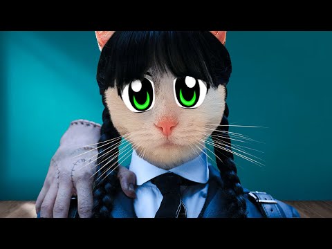 Видео: СМОТРИМ ВАШИ МЕМЫ 2 ! КОШЕЧКА МУРКА СТАЛА ВЕНСДЭЙ  МУРСДЕЙ ! ПРИКОЛЫ ОТ ПОДПИСЧИКОВ