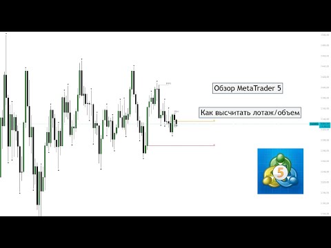 Видео: Как высчитать лотаж/объем MetaTrader 5. Обзор MT5. Гайд/инструкция в описании