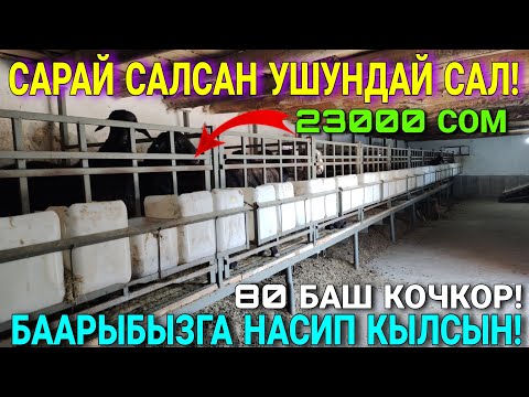 Видео: САТЫЛЫП КЕТТИ| БИЗДЕ УШУНДАЙ ЧАЛЫП УБАРА БОЛУП КАЛАСЫЗ  🤯  #байтв