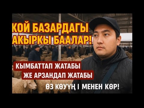 Видео: Кой базар область жалал-абад Манас шаары Аралаш баалар число видео 25-10-2025