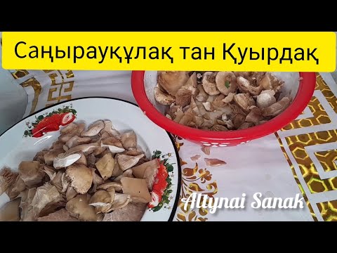 Видео: Саңырауқұлақ қуыру  Қуырдақ жасау Қозықұйрықты қалай қуырамыз