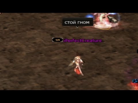 Видео: Lineage 2 | Asterios x5 | Voznya| Phoenix Knight/Paladin/Паладин | 21.03.2025