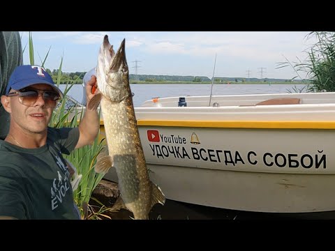 Видео: Щуки обожают эту силиконовую приманку так сильно, что разрывают её на части!