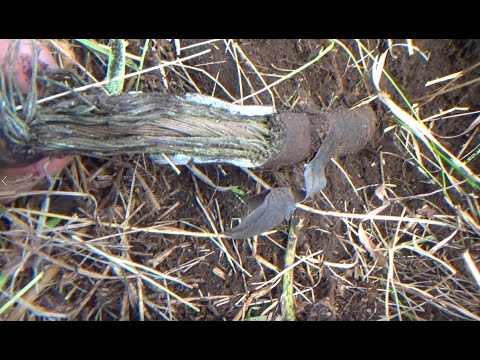 Видео: Коп 2024. Медное начало.