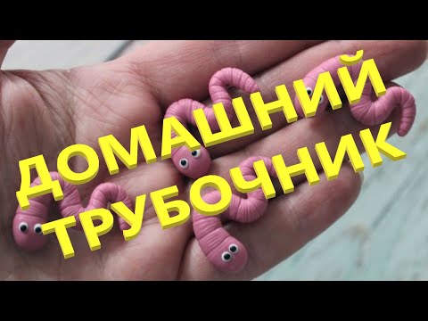 Видео: Трубочник Изя - уход за разогнанной культурой