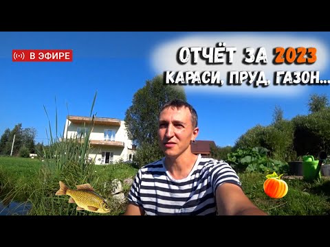 Видео: ⚡️ ОТЧЁТ 2023 | Санчо на Ранчо | Караси в пруду | Газон из белого клевера и другое...
