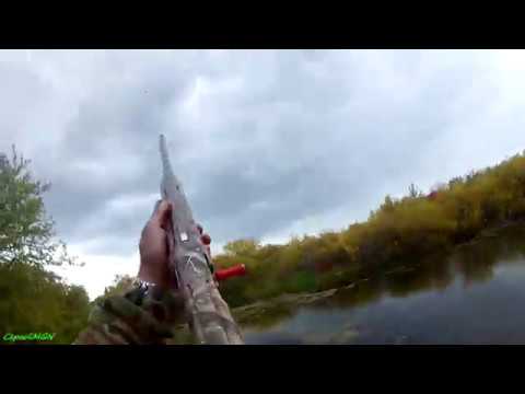 Видео: Охота на уток 2019-2 (Мр-155 и GEMINI).