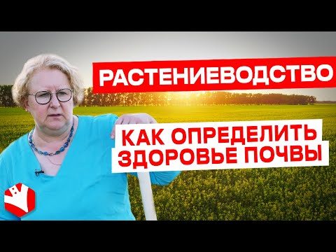 Видео: Как определить состояние почвы? | Елена Соколова