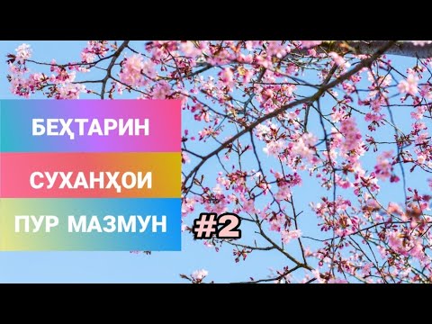 Видео: Беҳтарин суханҳои пур мазмун ва суханҳои тарбияви #2