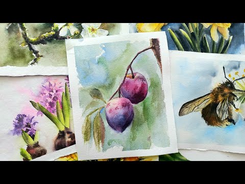Видео: Как нарисовать сливу. Рисуем ветку сливы акварелью. Watercolor painting for beginners.