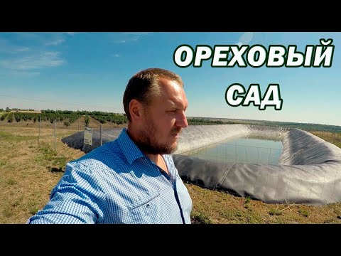 Видео: Зарабатывать больше, а работать меньше. Ореховый сад