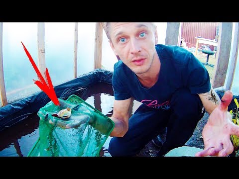 Видео: ПОЙМАЛ ОГРОМНОГО МУТАНТА!!!