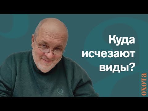 Видео: Куда исчезают охотничьи виды. Валерий Кузенков об исчезновении и восстановлении видов.