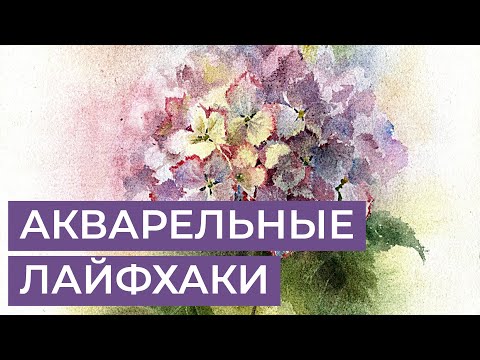 Видео: Акварельные лайфхаки для художников. За кадром урока Анастасии Бесединой