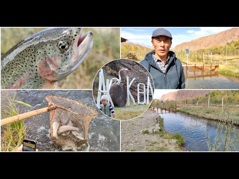 Видео: Ээн жерди ээнсиретпей балык чарба түптөгөн Токтобек Калмамбетов
