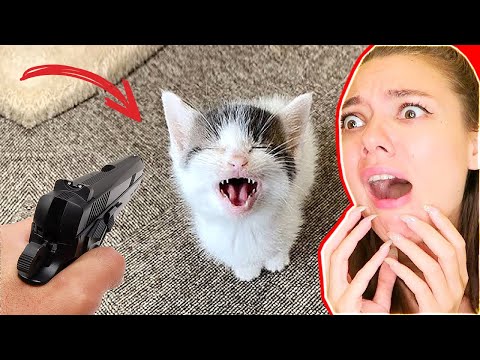 Видео: НИ ЗА ЧТО НЕ СМОТРИ ВИДЕО ПРО КОТИКОВ в 3 ЧАСА НОЧИ! ИНАЧЕ БУДЕШЬ СМЕЯТЬСЯ! СМЕШНЫЕ КОТЫ из ТИК ТОКА