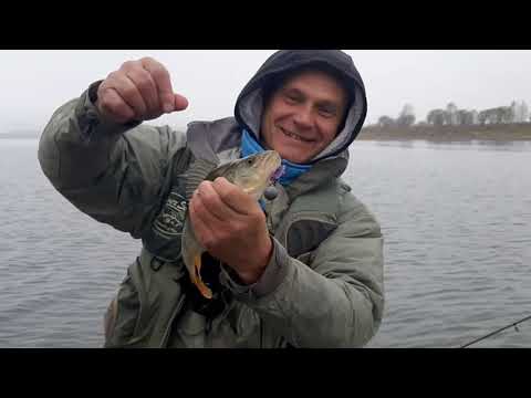Видео: ТОМЬ. ТЕРСЬ. ТАЙМЕНЬ, ХАРИУС, ЩУКА. 8 ОКТЯБРЯ