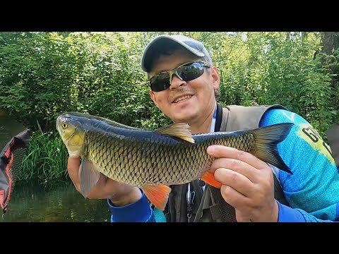 Видео: ЗАКИЛОШНЫЕ ГОЛАВЛИ на сплаве по малой реке!