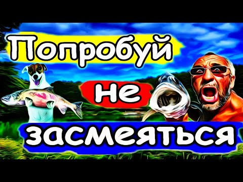 Видео: Большой улов/Смешные случаи на рыбалке/Приколы на рыбалке/Неудачи на рыбалке