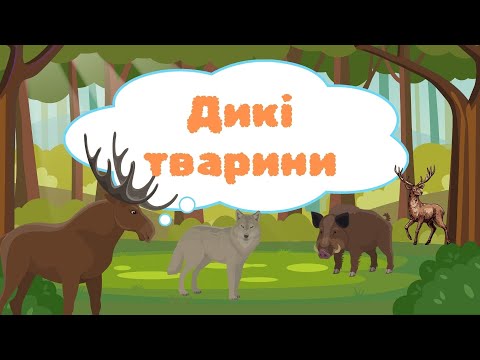 Видео: Дидактична вправа "Хто живе у лісі?"/ "Назви диких тварин!"