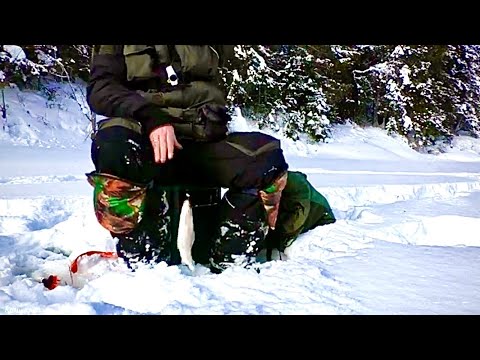 Видео: ДУМАЛИ КЛЮЁТ ГОЛЬЯН, А ОКАЗАЛОСЬ///ЗИМНЯЯ РЫБАЛКА НА ХАРИУСА В МАРТЕ 2021