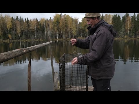 Видео: Жизнь в заброшенной деревне / Счастливый человек