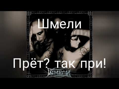 Видео: шмели прёт? так при!