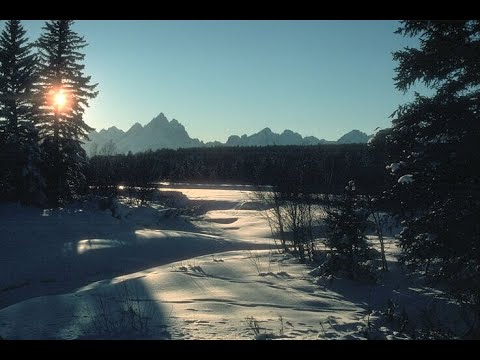 Видео: Отношения с шизоидом. Как строить отношения с шизоидом