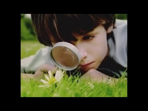 Видео: Первые линии (профиль 1/3, 5/1, 1/4,4/1). Дизайн человека