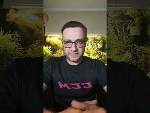 Видео: Есть ли интеллект у аквариумных рыб