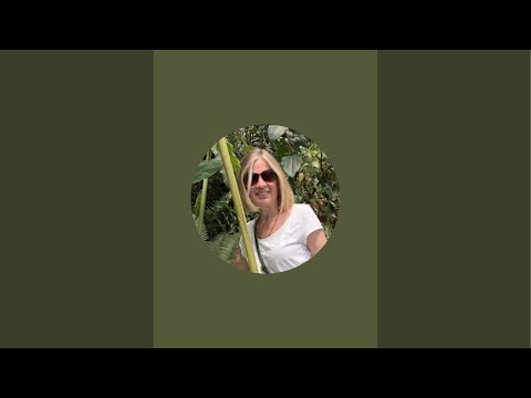 Видео: Nekhayka blog в прямом эфире!