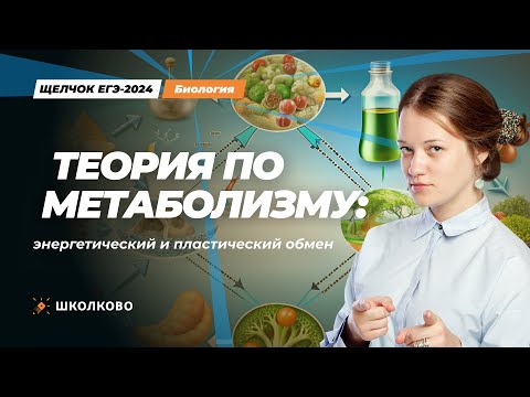 Видео: ЩЕЛЧОК к ЕГЭ 2024 по биологии | Теория по метаболизму: энергетический и пластический обмены