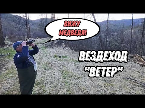 Видео: Вездеход Ветер. Охота на медведя - День 2