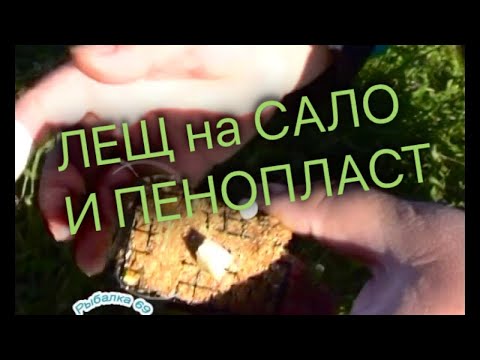 Видео: Рыбалка 69. Лещ на сало и пенопласт.