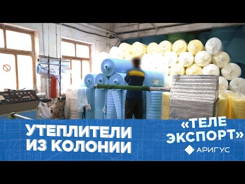 Видео: Телеэкспорт | Лучшие утеплители | Бизнес за решеткой