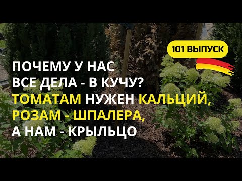 Видео: Дача в Германии. Вторая подкормка томатов кальцием от вершинной гнили, а мне нужны новые грядки