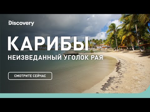 Видео: Карибы | Неизведанные острова | Discovery Channel