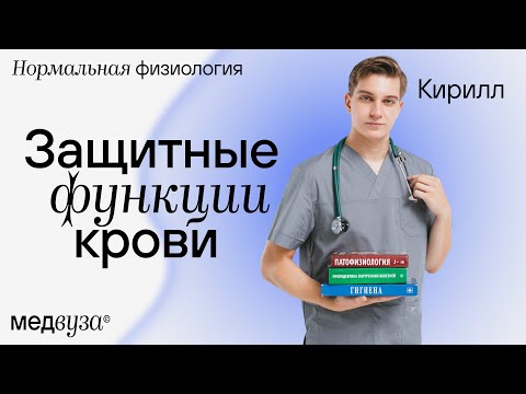 Видео: Защитные функции крови | Нормальная физиология человека