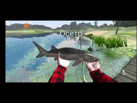 Видео: ловим осетра (ultimate fishing simulator)