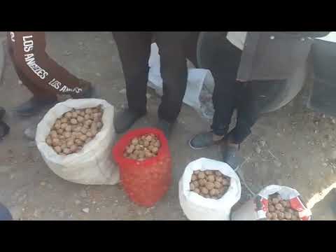 Видео: 13 октября 2025 г.