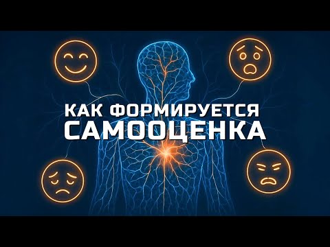 Видео: Как формируется САМООЦЕНКА: секреты нейропсихологии