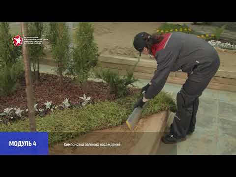 Видео: Демонстрационный экзамен. Компетенция "Ландшафтный дизайн"